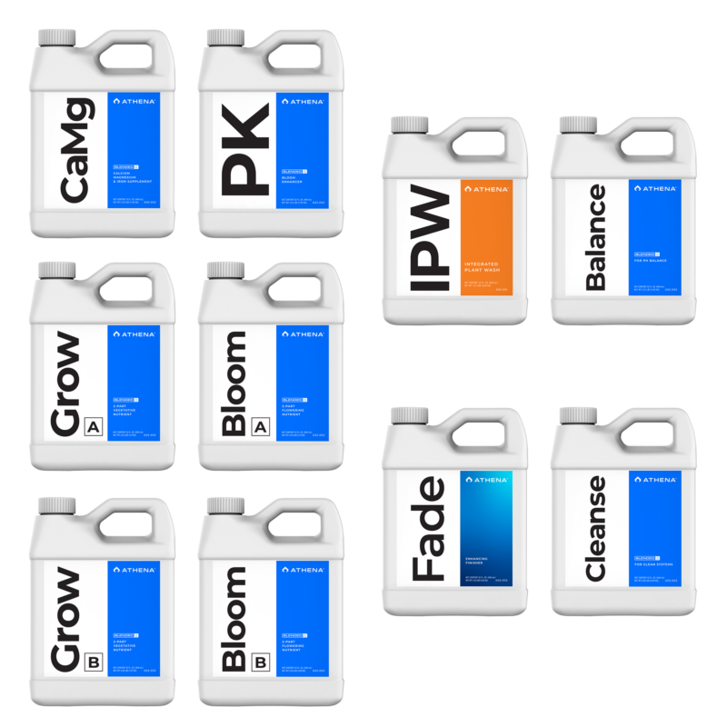 Athena Bundle Tamamlandı