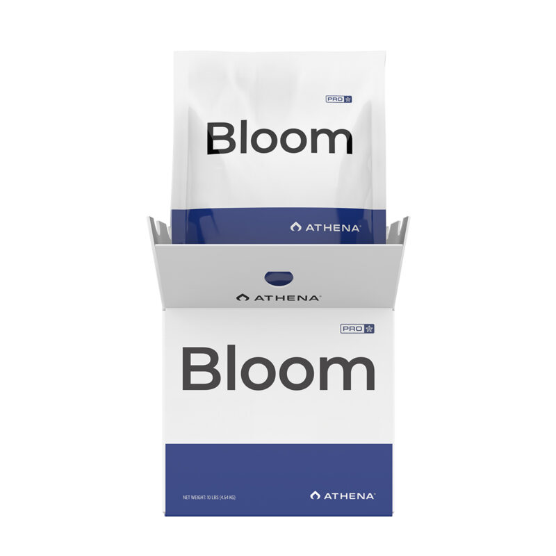 Athena Pro Bloom