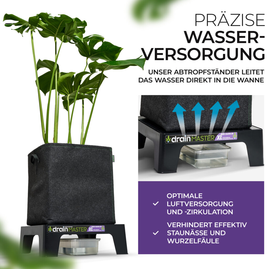 Präzise Wasserversorgung – ganz ohne Staunässe
