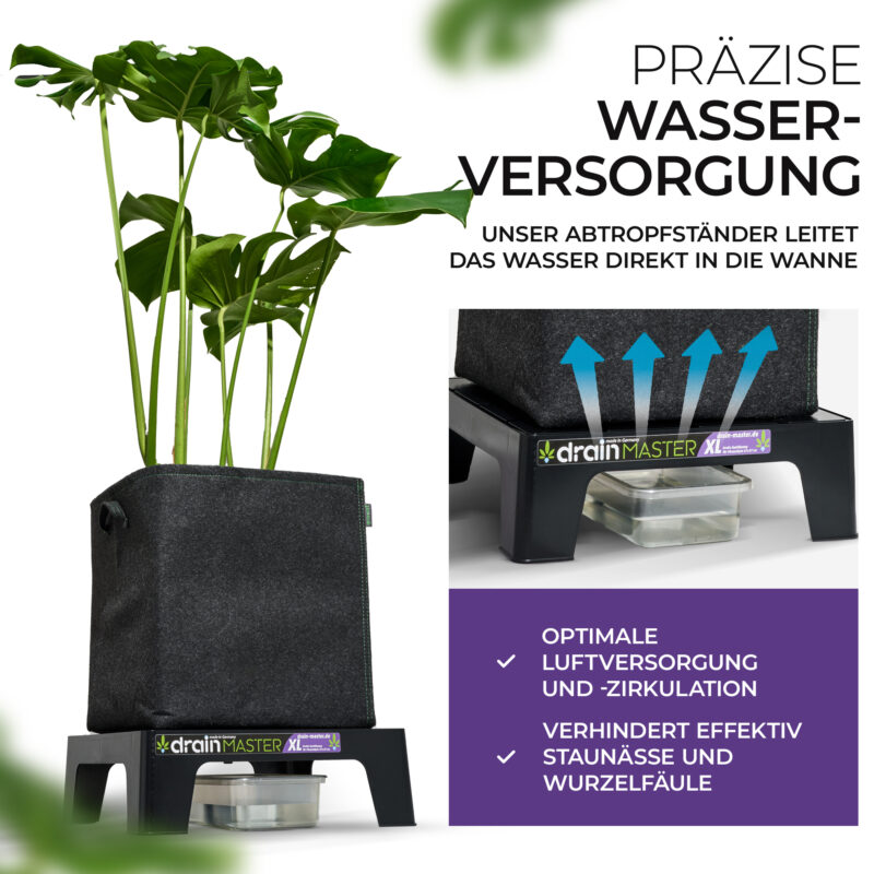 Präzise Wasserversorgung – ganz ohne Staunässe