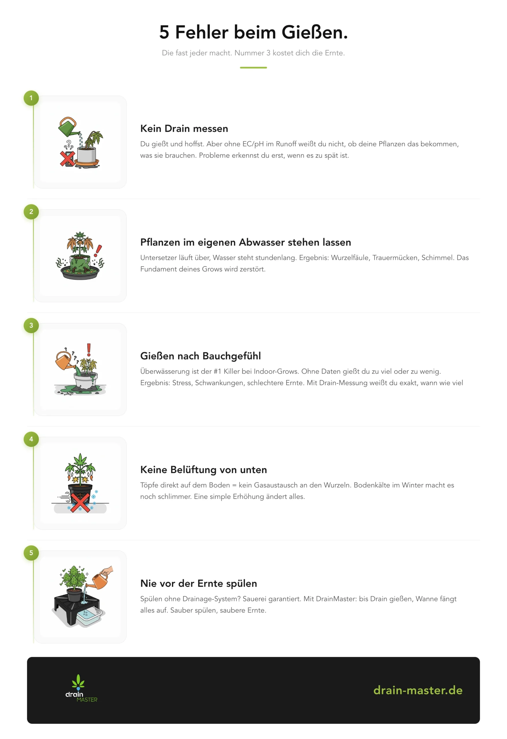 5 erreurs d’arrosage – infographie