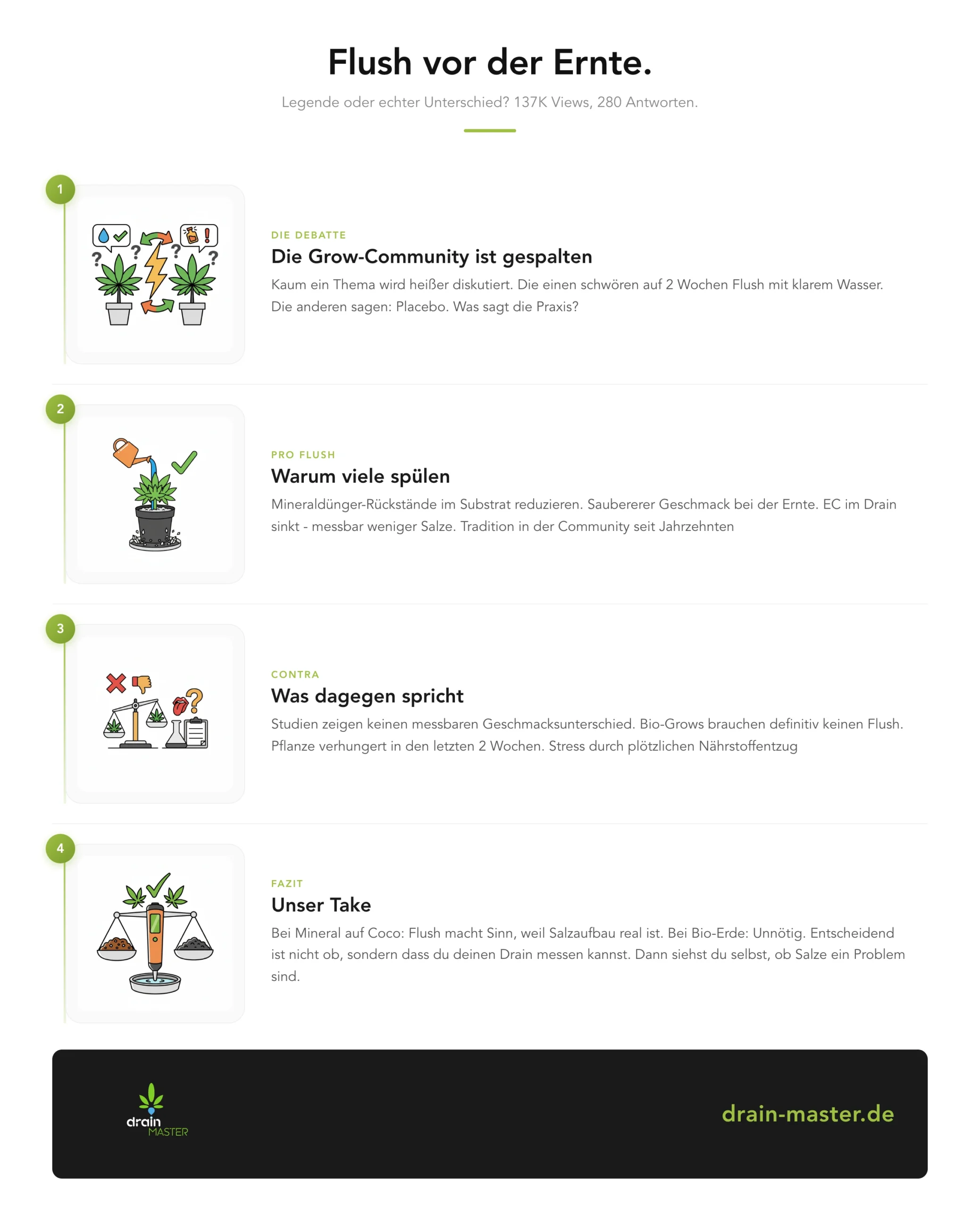 Flush before harvest – infographic