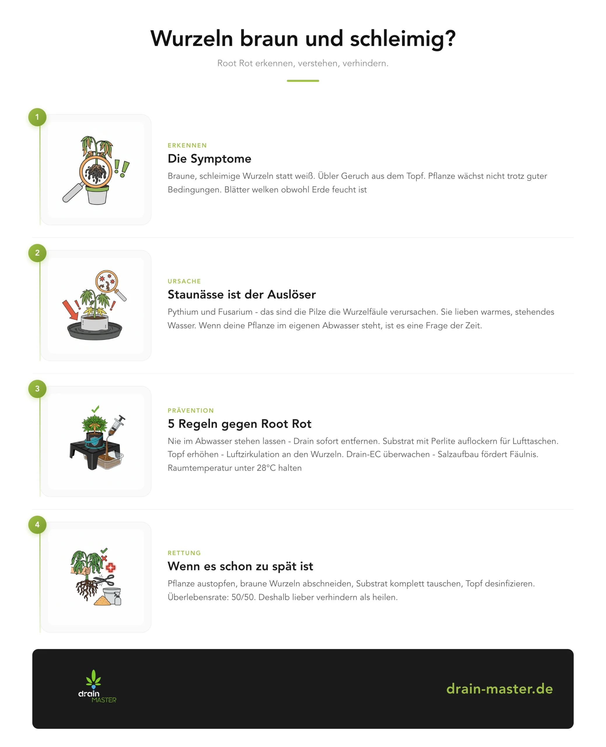 Wurzeln braun und schleimig? - Infografik
