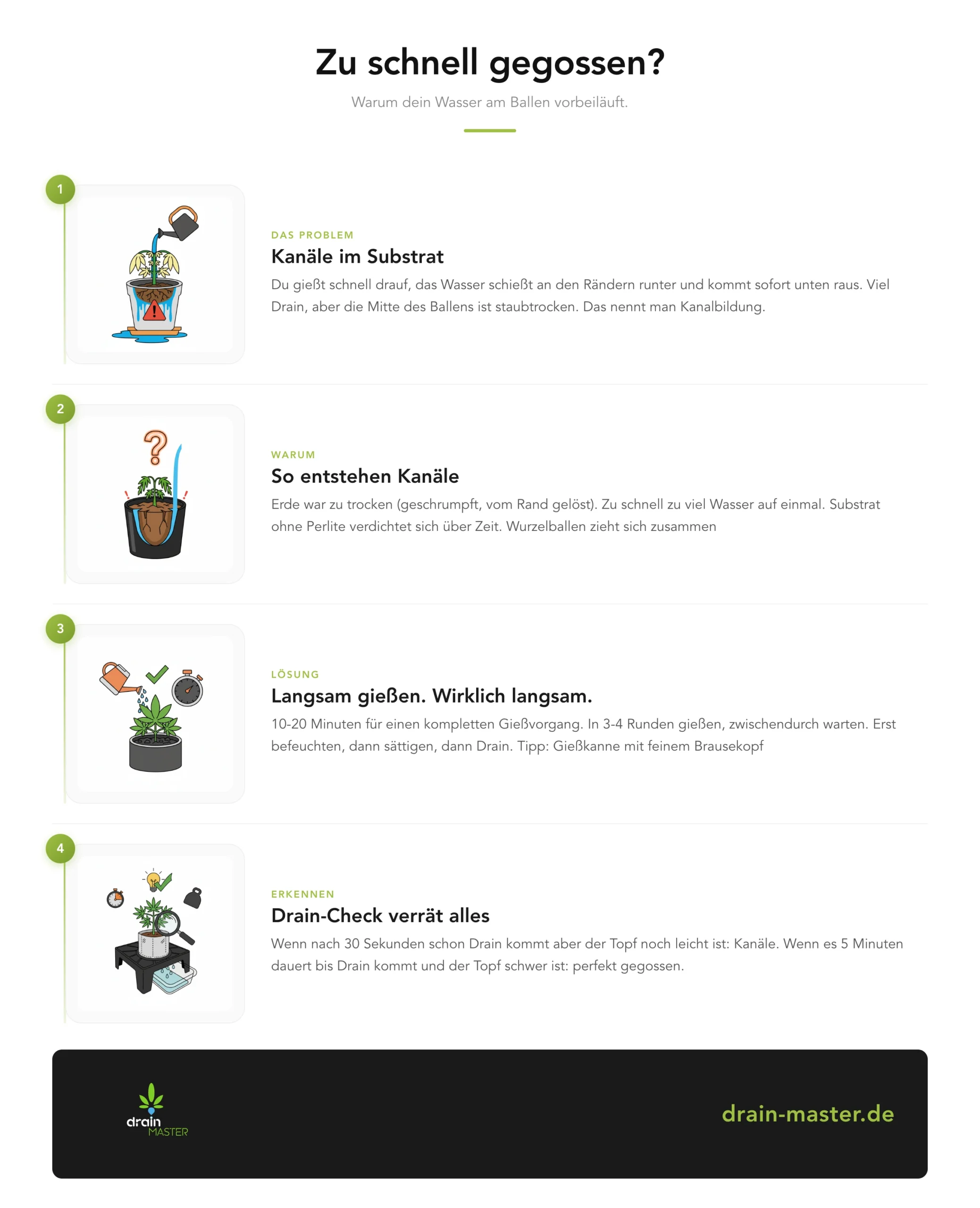 Zu schnell gegossen? - Infografik