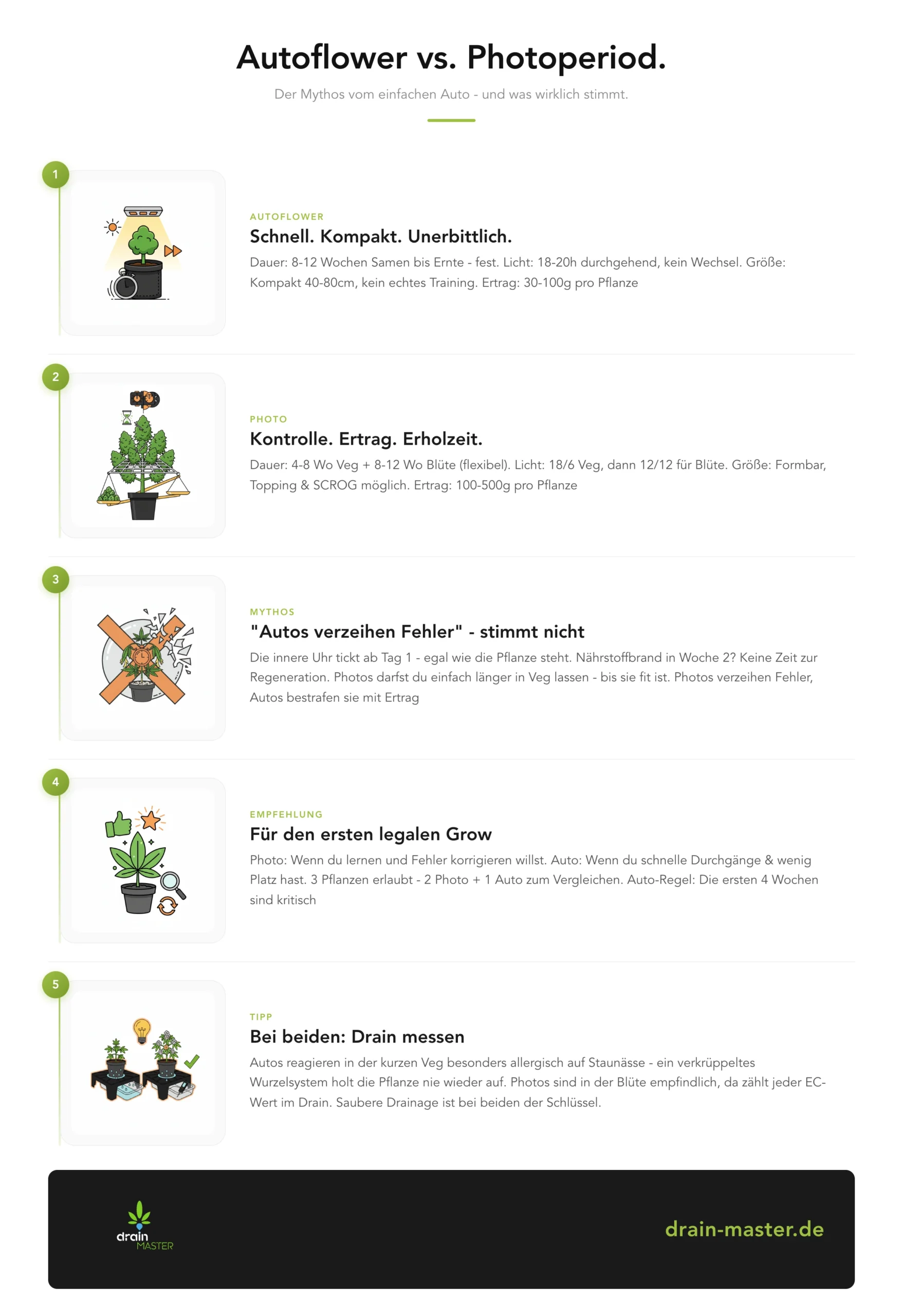 Autoflower vs. Photoperiod. - Infografik