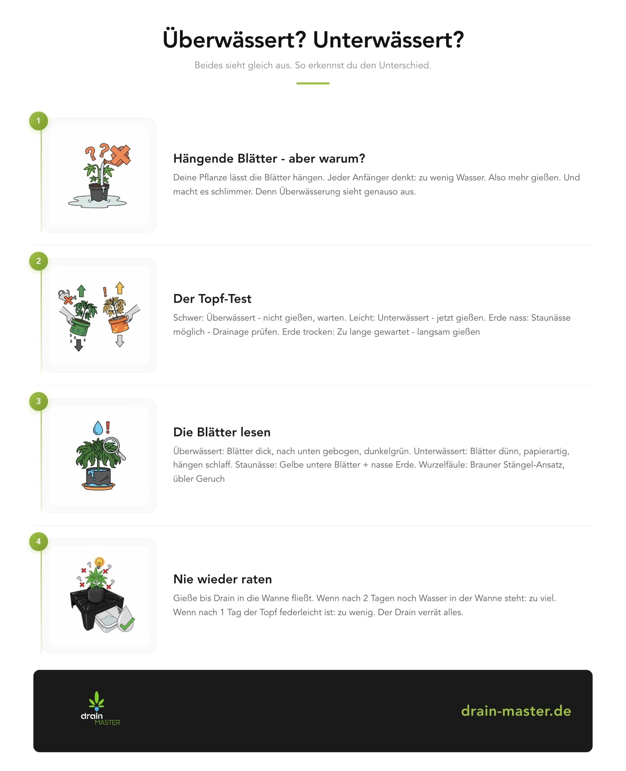 Overwatered? Underwatered? - Infographic