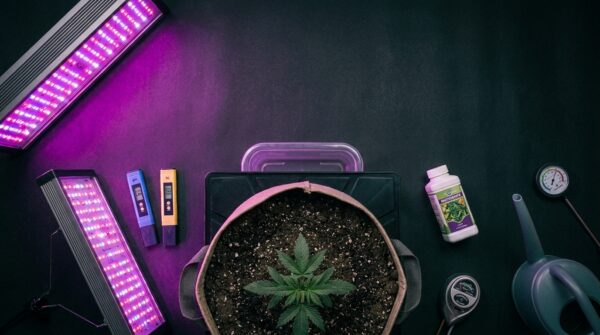 Growbox Komplettset günstig - DrainMaster
