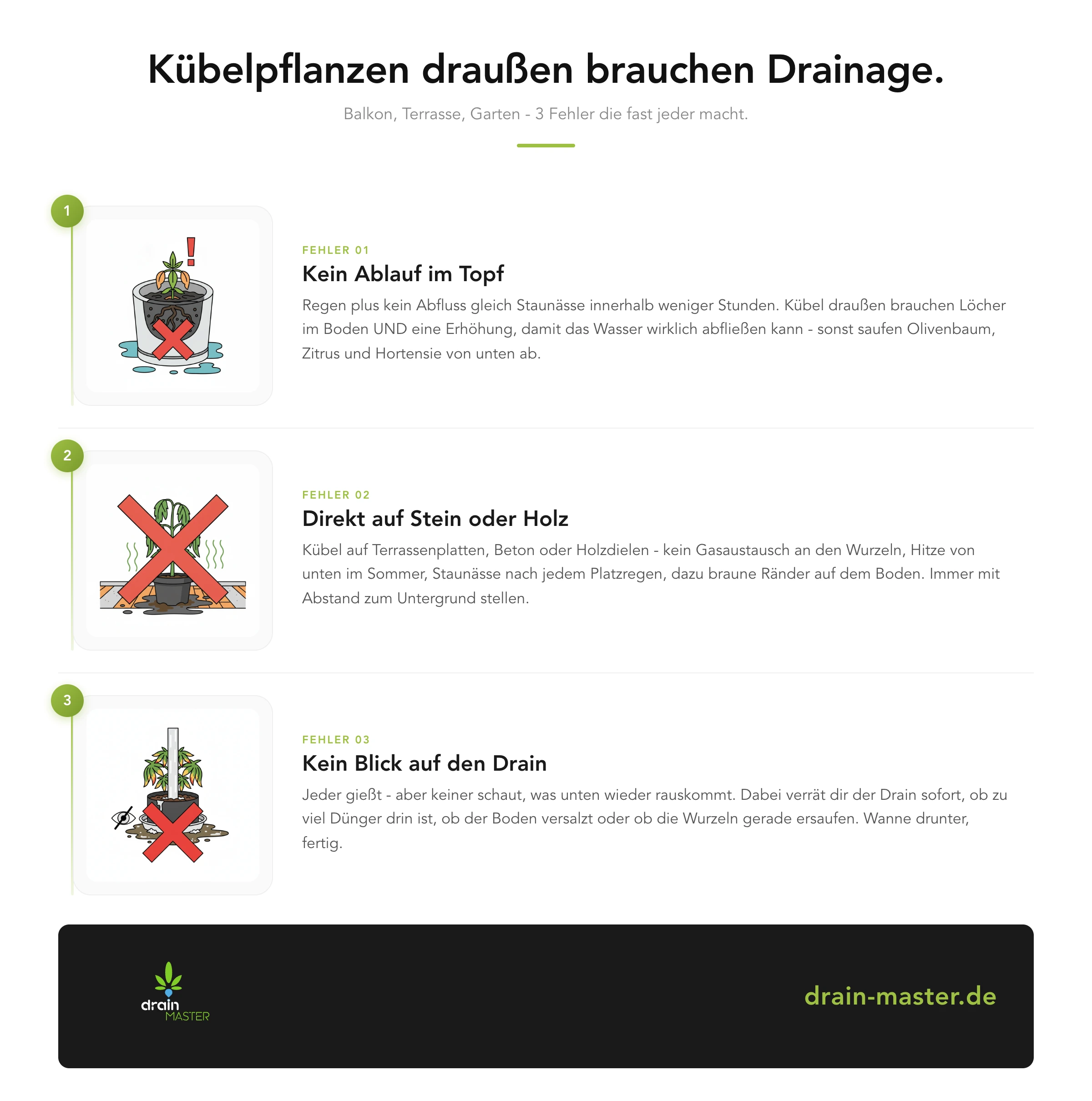 Kübelpflanzen draußen brauchen Drainage. - Infografik